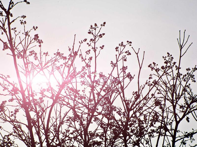 sudoku variants screenshot 2