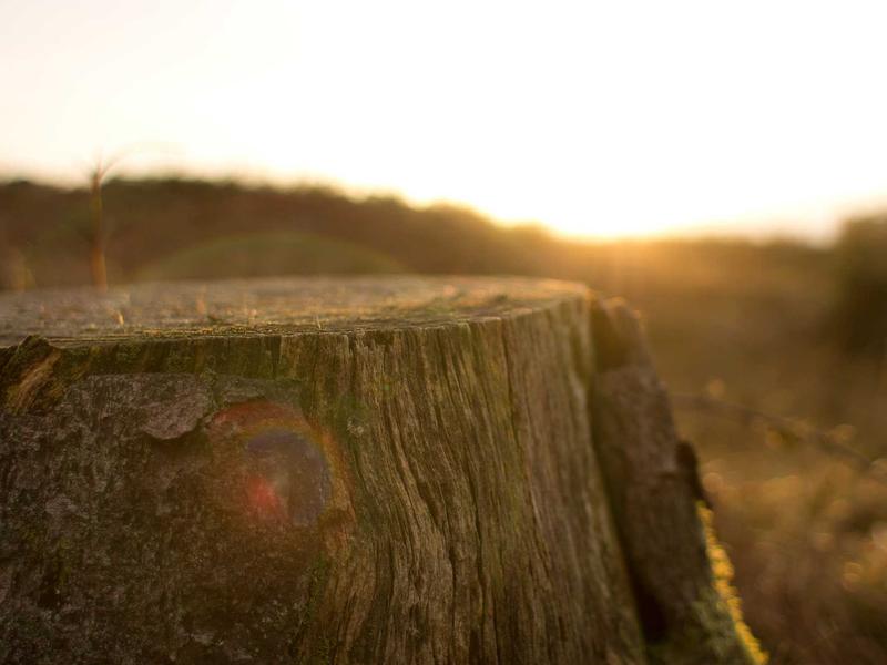 sudoku technique mastery screenshot 6