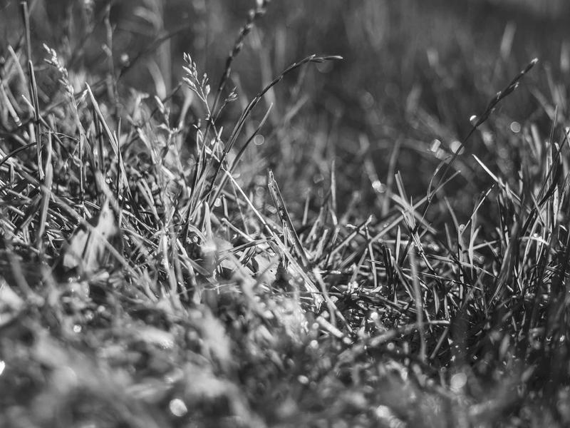 sudoku technique mastery screenshot 4